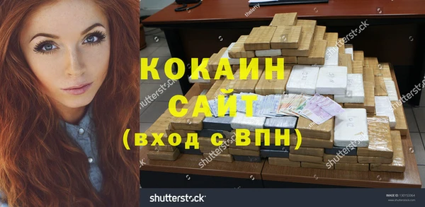сатива Алзамай