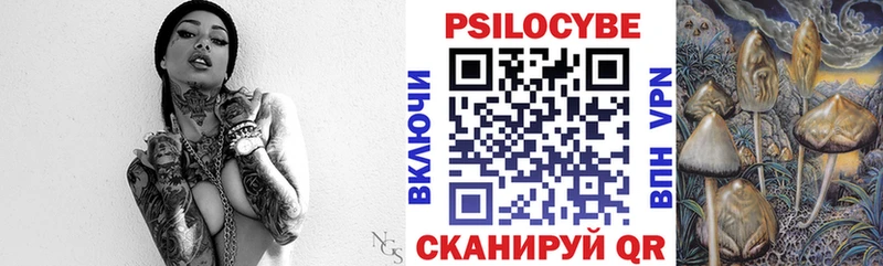 Псилоцибиновые грибы Psilocybe  наркошоп  Чапаевск 